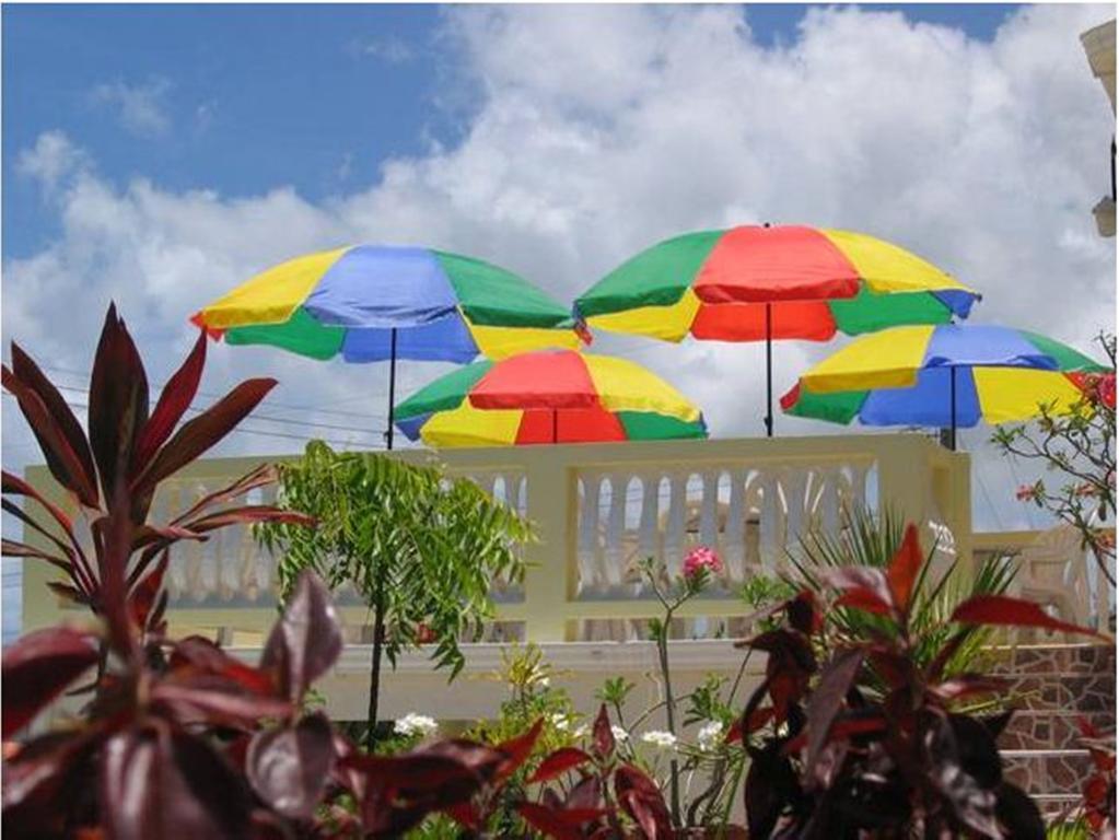 Palm Paradise Guest House And Apartments BARBADOS Exterior foto